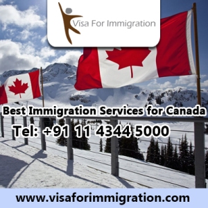 Best-Immigration-Services-for-Canada